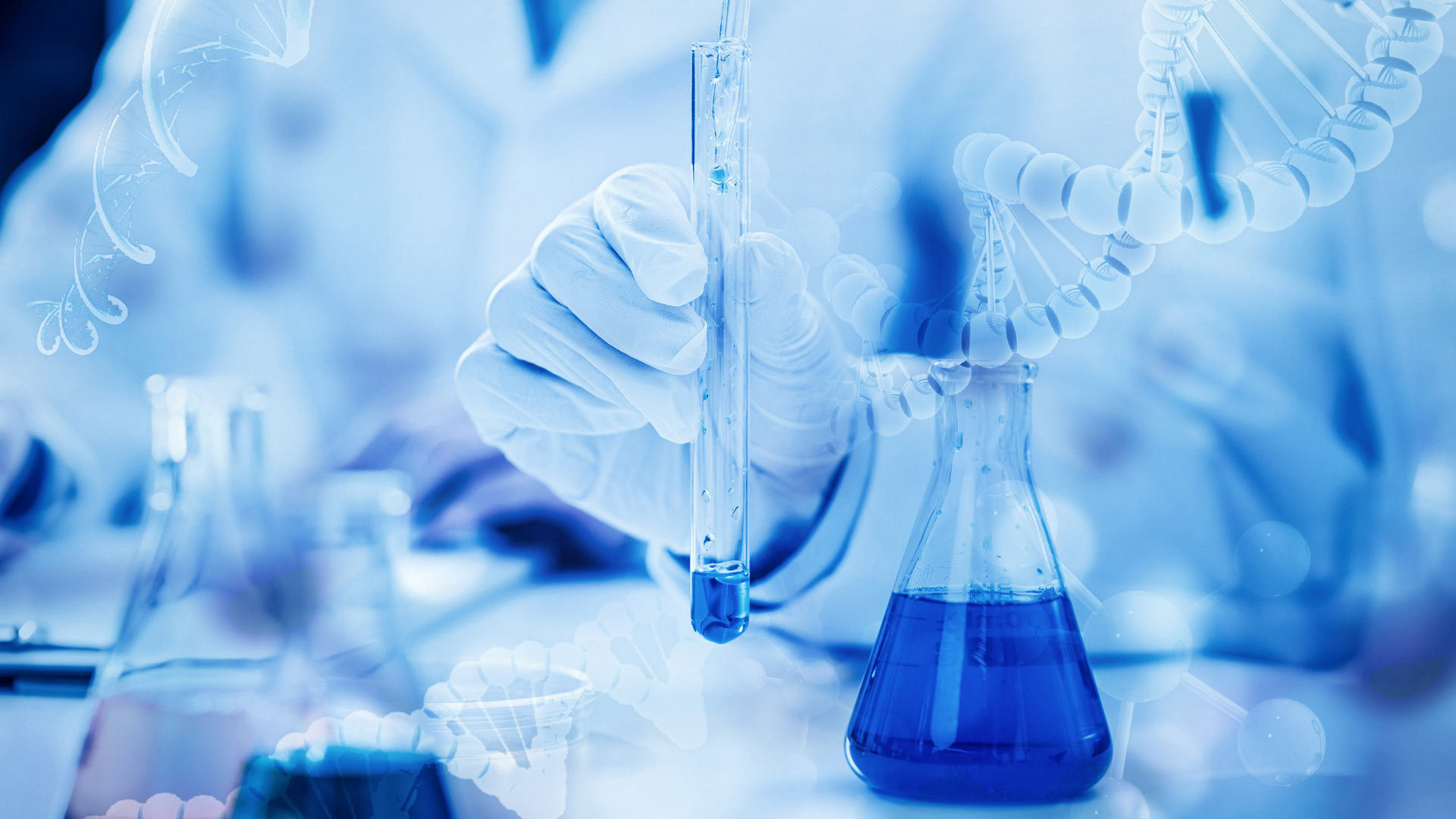 创始团队-星川科技